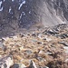 In discesa verso il Colle del Trayo