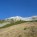 Nach den Platten gehe ich diesen Rücken rauf durch die Latschen weiter. Geht gut ohne (großen) Latschenkontakt. Wie man sieht würde es links der Latschen auch gehen. Mit erreichen des Wegs zur Bettelwurfhütte steuere ich dann den Südgrat zur Speckkarspitze an.