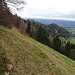 Rückblick vom Alplispitz