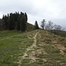 Blick zurück zum Alplisattel