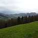 Den Zürichsee sieht man heute kaum