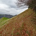 Der Pfad auf der Krete zum Alplispitz