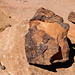 Tag 5 (24.10.) جبل أم الدامي (Jabal ’Umm ad Dāmī).<br /><br />Viele Steine und Felsen haben eine interessante schwarze Kruste. Dabei handelt es sich durch Verwittrungsprozesse abgelagertes Hämatit.