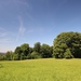 bei der Roßhofwiese