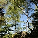 Kathifelsen