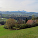 auf dem Weg über Oberkaien zum Gupf