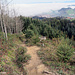 Wanderweg in Richtung Heiden