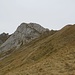 Der Anstieg am Schönegg ist klar: ein abschüssiges Grasband führt zwischen Felsen hinauf.