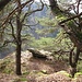 Auf dem mittleren Drei Felsen.