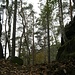 So gelangte ich in diese Scharte zwischen zwei Teilen des Felsens. Links ist es sehr steil und für mich nicht machbar (siehe auch nächstes Foto). Also kletterte ich stattdessen rechts hinauf (UIAA I), wo man dann auch zum höchsten Punkt des Langenfelsens kommt.