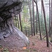 Wieder zurück an der Scharte, gehe ich jetzt auf der anderen, westlichen Seite wieder am Felsen entlang hinunter. Ein Fliegenpilz weist den Weg.
