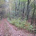 Auf dem Weg zum nächsten Felsen, dem Kostenfels.