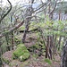 Im Felsgelände des Haubenthaler Felsens.