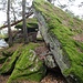 Weiter vorne im Felsgelände des Haubenthaler Felsens.