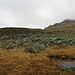 Im Anstieg zur Hochplattspitze