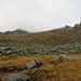 Die Hochplattspitze steckt in Wolken.