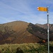 Monte Ferraro