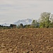 Il Monte Rosa sorge dai campi arati.