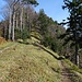 Roten: rechts der Weg durch die Südseite oberhalb der Nagelfluhfelsen, links der Abstiegsweg vom Gipfel runter