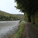 Wanderung entlang des River Lerryn.