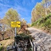 <b>Salita verso la Sella del Mortirolo (1290 m), il cui nome altisonante ricorda il Passo del Mortirolo in Valtellina, una meta d’obbligo per i cicloamatori avanzati.  </b>