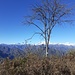 Monte Quarone 1221 mt panorama. 