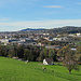 kurz vor dem Herrenwald mit toller Aussicht nach St. Gallen 