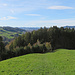 Rückblick zum Herrenwald und dem M-Bike Weg, der Radweg geht direkt vom Wald hier hinauf.