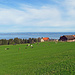 Blick vom Eggersrieter Höhenweg zum Bodensee