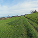 auf dem Eggersrieter Höhenweg, eine schöner M-Bike Weg mit super Aussicht!!