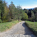 ab hier wieder eine etwas schwierigere Passage (WS)