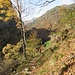 Dal bivio per la Cima di Visghed inizia un lungo tratto in falsopiano