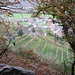 I vigneti di Preonzo
