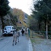 Noi siamo i soli <i>asini</i> in giro