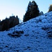 All'uscita del bosco Q1500 tutto bianco e freddo