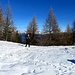 Pianoro
