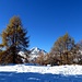 Paesaggi