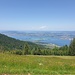 Sicht auf den Zürichsee, Seedamm und Rapperswil