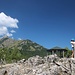 Gipfelstürmerin