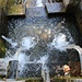 wasserreiche Insel