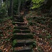 On monte au Heidenfelsschloss par un escalier