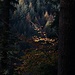 Automne