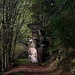 Dans la vallée de la Zorn