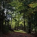 Dans la montée au Jaegerhof