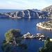 Approche bucolique au petit matin 