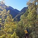 Début du sentier. Tout le bonheur du mois de novembre, le plus beau de l'année comme chacun sait. 