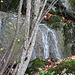 kleiner Wasserfall