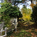 aufwärts durch den Herbstwald