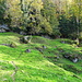 Wanderweg durch liebliches Gelände