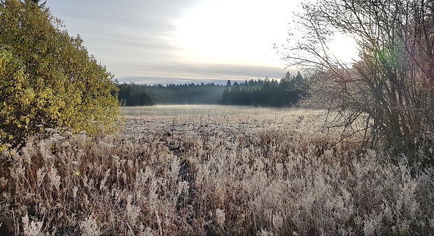 Rückblick zum Moorsee